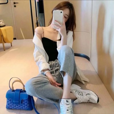 智叻狗仔队